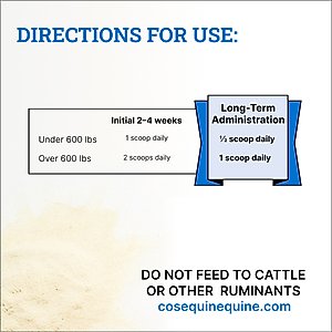 Nutramax Cosequin Optimized with MSM Joint Health Apple Flavor Powder Horse Supplement, 1400 Grams