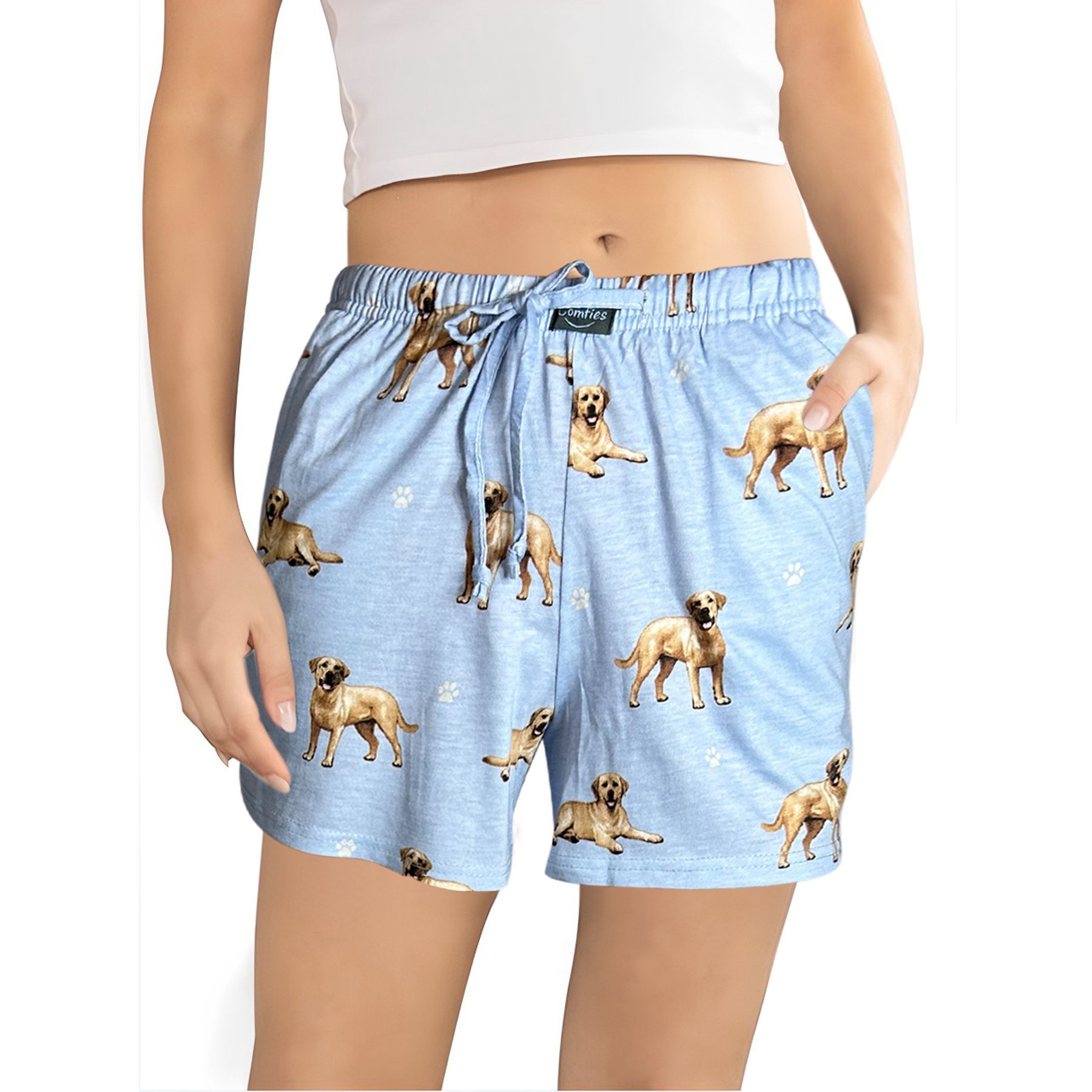 E&S PETS Yellow Labrador Shorts, Light Blue, Small