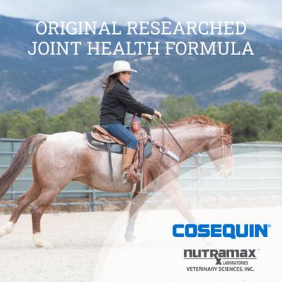 Show full view: Nutramax Cosequin Powder with Glucosamine & Chondroitin Original Joint Health Supplement for Horses, 3-lb tub, bundle of 2 slide 6 of 10
