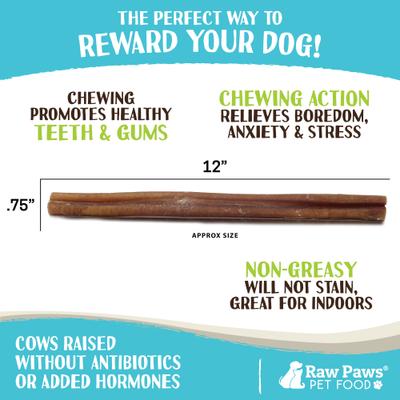 Show full view: Raw Paws 12-inch Jumbo Bully Sticks Dog Treats, 5 count slide 4 of 9