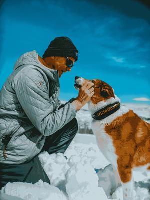 Show full view: Uncharted Supply Co Wolf Pack First Aid Dog Collar, Black, Medium/Large: 16.5 to 20.5-in neck, 1.5-in wide slide 3 of 9