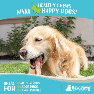 Show full view: Raw Paws 12-inch Jumbo Bully Sticks Dog Treats, 5 count slide 6 of 9