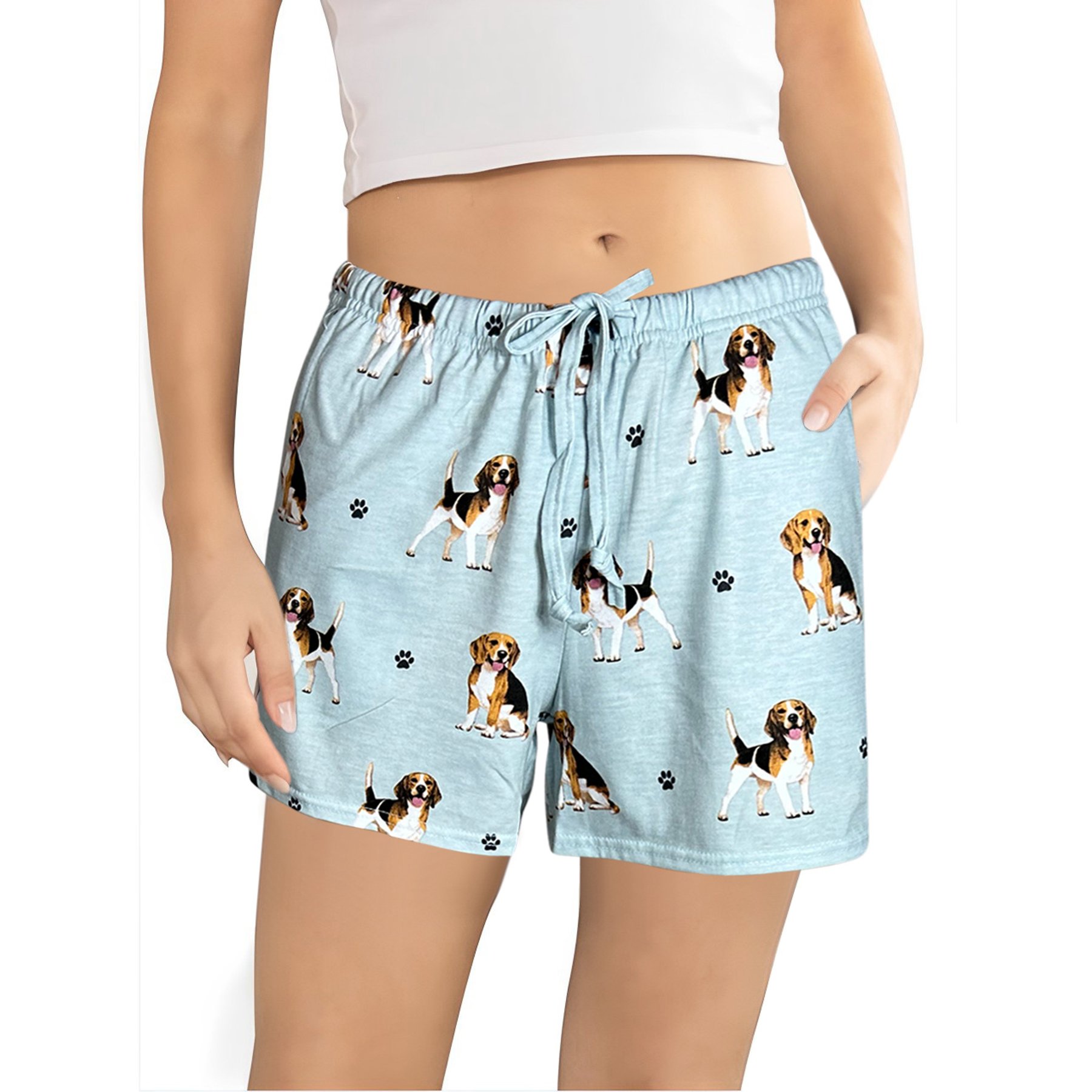 E&S PETS Beagle Shorts, Teal, Small