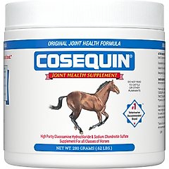 Nutramax Cosequin Powder with Glucosamine & Chondroitin Original Joint Health Supplement for Horses, .62-lb tub