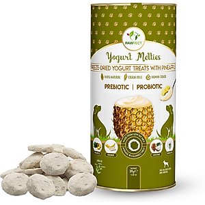 Pawfect All Natural Grain-free Yogurt with Pineapple Prebiotic Probiotic Freeze-dried Dog Treat, 1.34-oz canister