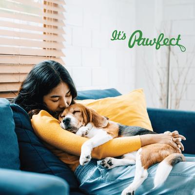 Show full view: Pawfect All Natural Grain-free Yogurt with Pineapple Prebiotic Probiotic Freeze-dried Dog Treat, 1.34-oz canister slide 9 of 10