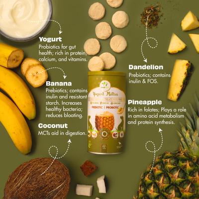 Show full view: Pawfect All Natural Grain-free Yogurt with Pineapple Prebiotic Probiotic Freeze-dried Dog Treat, 1.34-oz canister slide 4 of 10