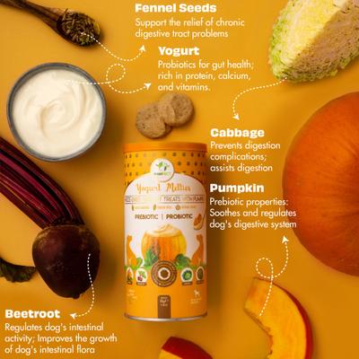 Show full view: Pawfect All Natural Grain-free Yogurt with Pumpkin Prebiotic Probiotic Freeze-dried Dog Treat, 1.34-oz canister slide 4 of 10