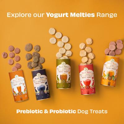 Show full view: Pawfect All Natural Grain-free Yogurt with Pumpkin Prebiotic Probiotic Freeze-dried Dog Treat, 1.34-oz canister slide 8 of 10
