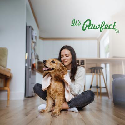 Show full view: Pawfect Dentamust Himalayan Cheese Chews Large All Natural High-Protein Grain-Free with Cranberry Pomengranate Pumpkin seeds & Activated Charcoal Dental Dog Treats, 3 count slide 8 of 9