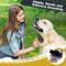 Show in main carousel: Pet Republique Self-Cleaning Slicker Brush slide 2 of 9