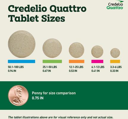 Show full view: Credelio Quattro Chewable Tablets for Dogs, 12.1-25 lbs, 6 Chewables (6-mos. supply) slide 3 of 7