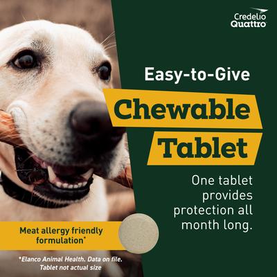 Show full view: Credelio Quattro Chewable Tablets for Dogs, 50.1-100 lbs, 6 Chewables (6-mos. supply) slide 6 of 7