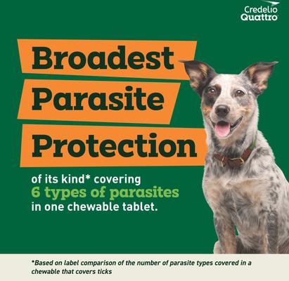 Show full view: Credelio Quattro Chewable Tablets for Dogs, 25.1-50 lbs, 6 Chewables (6-mos. supply) slide 4 of 7