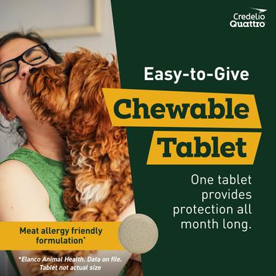 Show full view: Credelio Quattro Chewable Tablets for Dogs, 25.1-50 lbs, 6 Chewables (6-mos. supply) slide 6 of 7