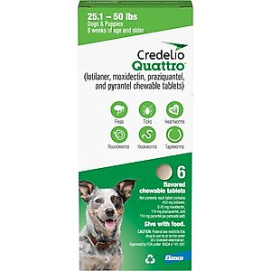 Credelio Quattro Chewable Tablets for Dogs, 25.1-50 lbs, 6 Chewables (6-mos. supply)
