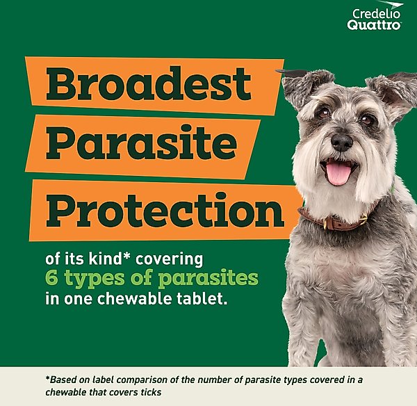 Show full view: Credelio Quattro Chewable Tablets for Dogs, 12.1-25 lbs, 6 Chewables (6-mos. supply) slide 4 of 7