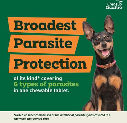 Show full view: Credelio Quattro Chewable Tablets for Dogs, 6.1-12 lbs, 6 Chewables (6-mos. supply) slide 4 of 6