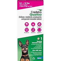 Credelio Quattro Chewable Tablets for Dogs, 6.1-12 lbs, 1 Chewable (1-mo. supply)
