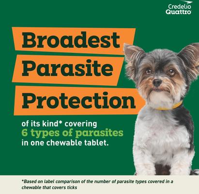 Show full view: Credelio Quattro Chewable Tablets for Dogs, 3.3-6 lbs, 6 Chewables (6-mos. supply) slide 4 of 7