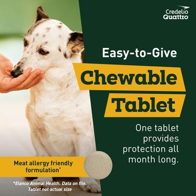 Show full view: Credelio Quattro Chewable Tablets for Dogs, 3.3-6 lbs, 6 Chewables (6-mos. supply) slide 6 of 7