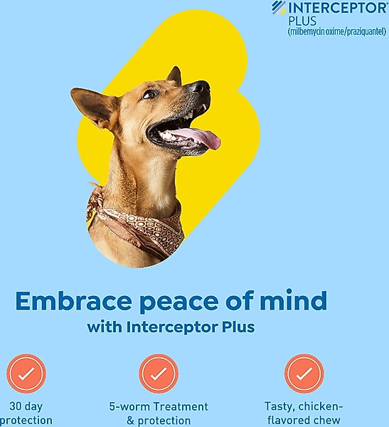Show full view: Interceptor Plus Chew for Dogs, 50.1-100 lbs, (Blue Box), 6 Chews (6-mos. supply) slide 3 of 11