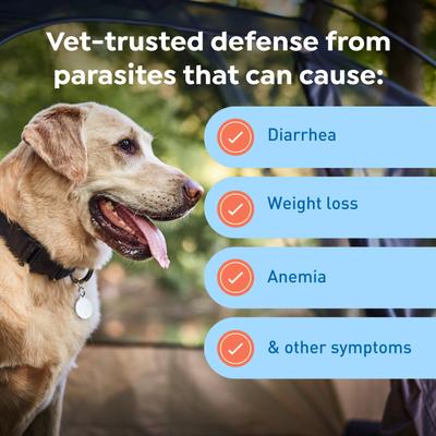 Show full view: Interceptor Plus Chew for Dogs, 50.1-100 lbs, (Blue Box), 12 Chews (12-mos. supply) slide 7 of 11