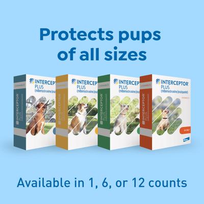 Show full view: Interceptor Plus Chew for Dogs, 8.1-25 lbs, (Green Box), 6 Chews (6-mos. supply) slide 9 of 11