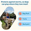 Show in main carousel: Interceptor Plus Chew for Dogs, 50.1-100 lbs, (Blue Box), 6 Chews (6-mos. supply) slide 6 of 11