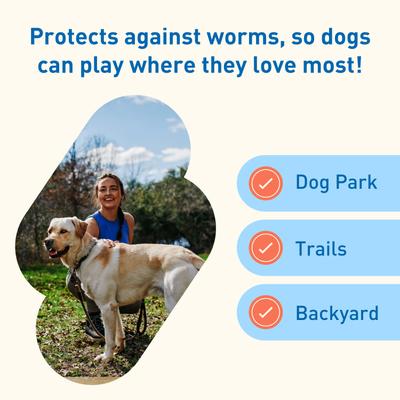 Show full view: Interceptor Plus Chew for Dogs, 50.1-100 lbs, (Blue Box), 12 Chews (12-mos. supply) slide 6 of 11