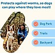 Show in main carousel: Interceptor Plus Chew for Dogs, 25.1-50 lbs, (Yellow Box), 1 Chew (1-mo. supply) slide 6 of 11