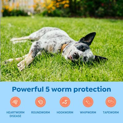 Interceptor Plus Chew for Dogs, 25.1-50 lbs, (Yellow Box)