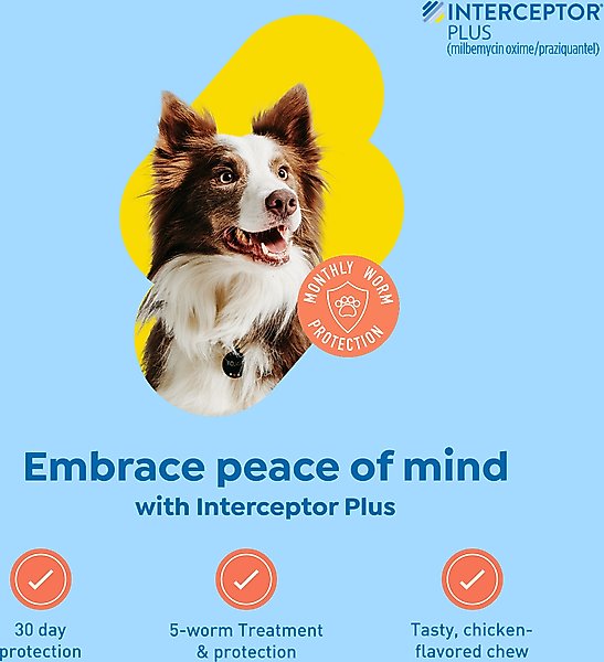 Show full view: Interceptor Plus Chew for Dogs, 25.1-50 lbs, (Yellow Box), 1 Chew (1-mo. supply) slide 3 of 11