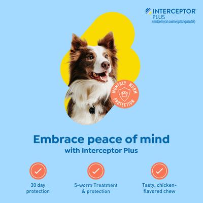 Show full view: Interceptor Plus Chew for Dogs, 25.1-50 lbs, (Yellow Box), 6 Chews (6-mos. supply) slide 3 of 11