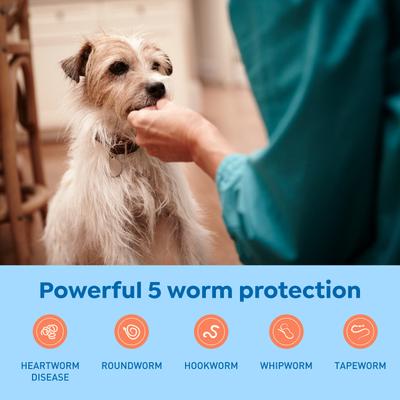 Interceptor Plus Chew for Dogs, 8.1-25 lbs, (Green Box)