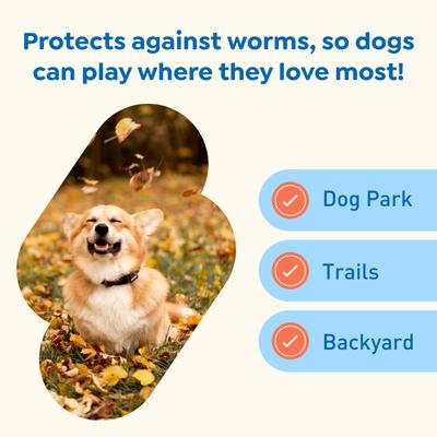 Interceptor Plus Chew for Dogs, 8.1-25 lbs, (Green Box)