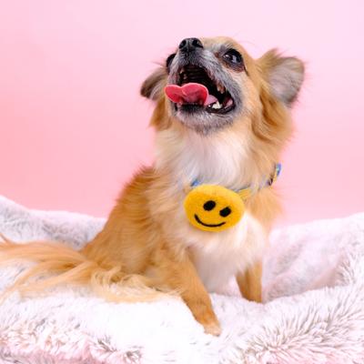 Show full view: Mimi Green Smiley Face Dog Collar Accessory, Yellow, Medium slide 6 of 6