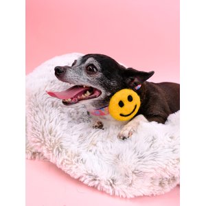 Mimi Green Smiley Face Dog Collar Accessory, Yellow, Medium