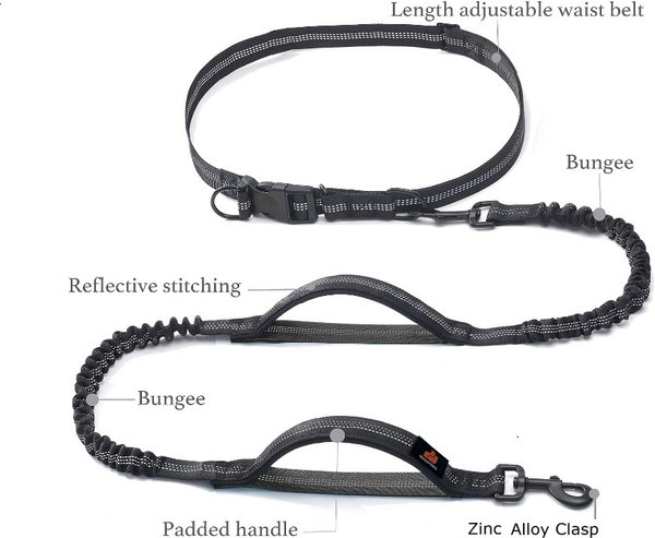 GroovyPets Bungee Hands-Free Reflective Running Dog Leash with Carrying Case, Large: 51 to 68-in long, 1-in wide