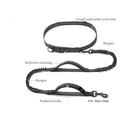 Show full view: GroovyPets Bungee Hands-Free Reflective Running Dog Leash with Carrying Case, Large: 51 to 68-in long, 1-in wide, Black slide 3 of 6