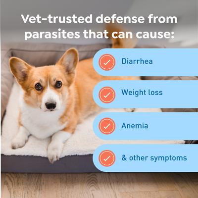 Interceptor Plus Chew for Dogs, 8.1-25 lbs, (Green Box)