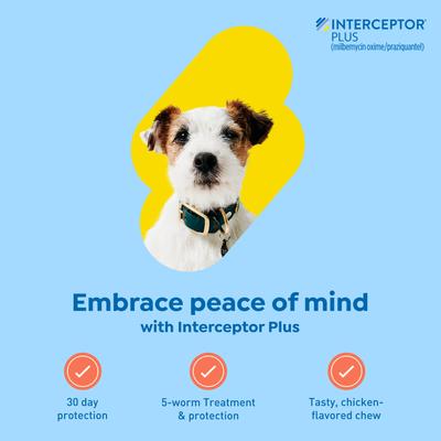 Show full view: Interceptor Plus Chew for Dogs, 8.1-25 lbs, (Green Box), 6 Chews (6-mos. supply) slide 3 of 11