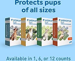 Interceptor Plus Chew for Dogs, 2-8 lbs, (Orange Box), 1 Chew (1-mo. supply) slide 2 of 9