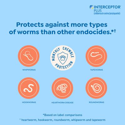 Show full view: Interceptor Plus Chew for Dogs, 2-8 lbs, (Orange Box), 6 Chews (6-mos. supply) slide 5 of 11