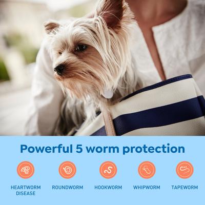 Show full view: Interceptor Plus Chew for Dogs, 2-8 lbs, (Orange Box), 6 Chews (6-mos. supply) slide 4 of 11