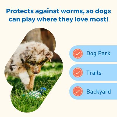 Show full view: Interceptor Plus Chew for Dogs, 2-8 lbs, (Orange Box), 6 Chews (6-mos. supply) slide 6 of 11