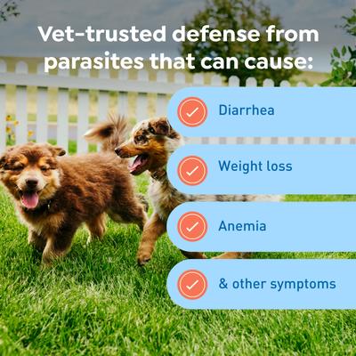 Show full view: Interceptor Plus Chew for Dogs, 2-8 lbs, (Orange Box), 6 Chews (6-mos. supply) slide 7 of 11