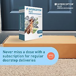 Interceptor Plus Chew for Dogs, 50.1-100 lbs, (Blue Box), 6 Chews (6-mos. supply) slide 2 of 9