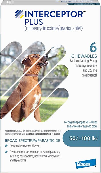 Interceptor Plus Chew for Dogs, 50.1-100 lbs, (Blue Box)