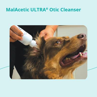 Show full view: MalAcetic ULTRA Otic Cleanser for Dogs, Cats & Horses, 2-oz bottle slide 6 of 9